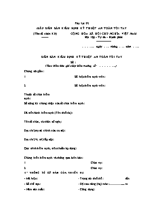 Biên bản Kiểm định kỹ thuật an toàn tời tay - Thông tư 54/2016/TT-BLĐTBXH